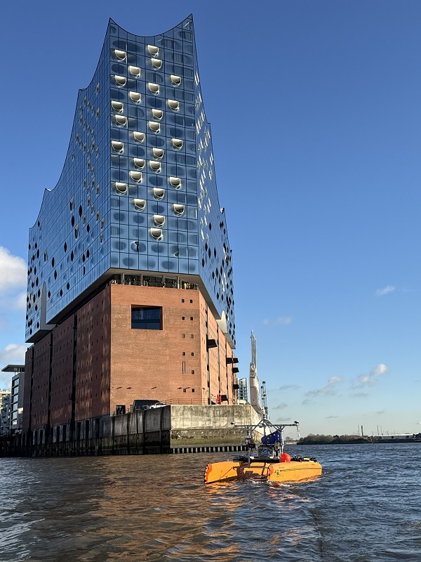 seadragonelphi_vertical