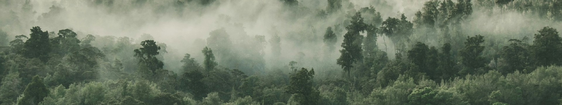 Header_GSLS_26_KLU